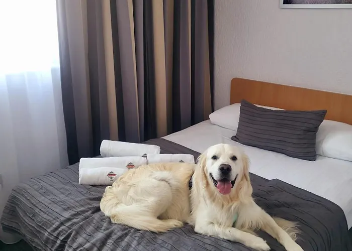 Gromada Stadion Hotel 3*