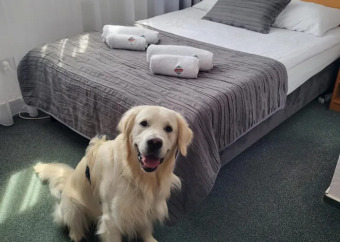 Отель Gromada Stadion 3*